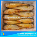 frozen fresh cheap baby yellow croaker with excellent price